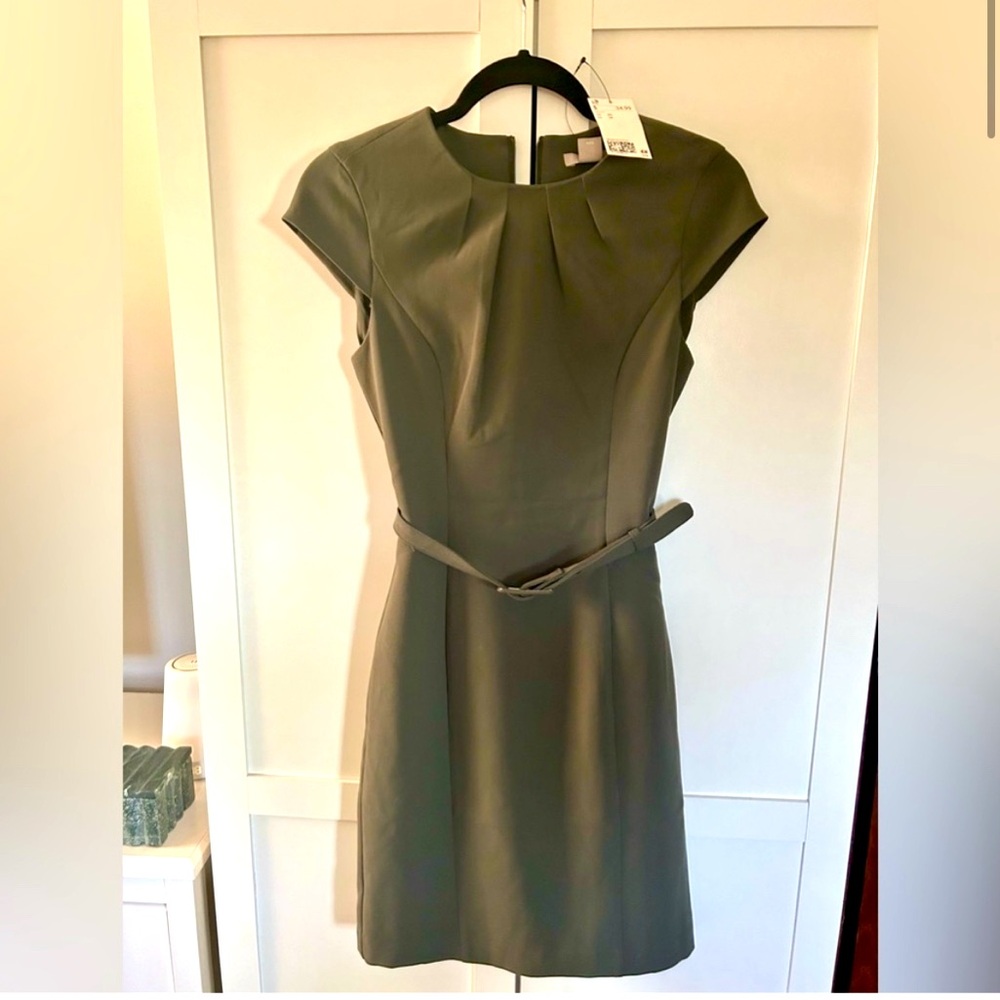 H&M Gray (tint of olive) Cap Sleeve Belted Sheath Dress